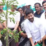 Cm Revanth Reddy Vows To Develop Warangal As A Heritage City 9