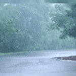 Severe Weather Alert: Telangana Braces For Heavy Rainfall In 10 Districts